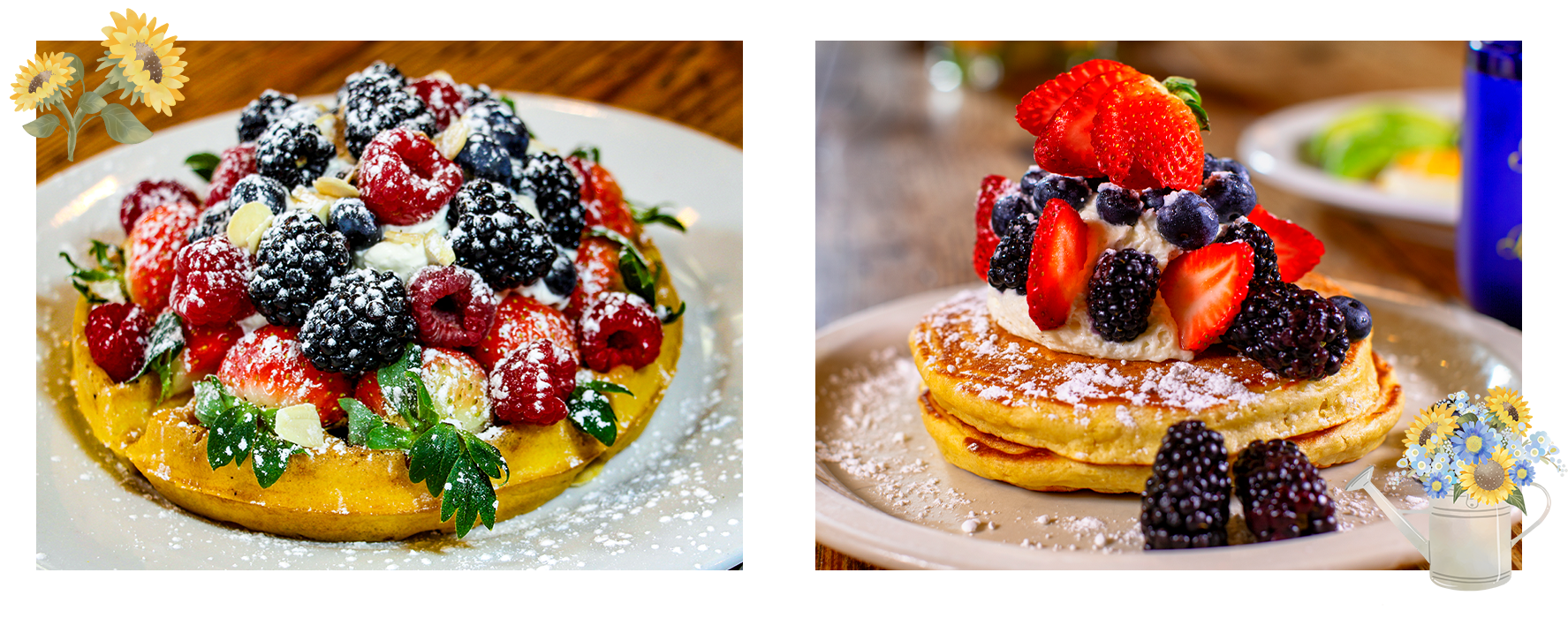 Pancakes and waffles served at The Sunflower